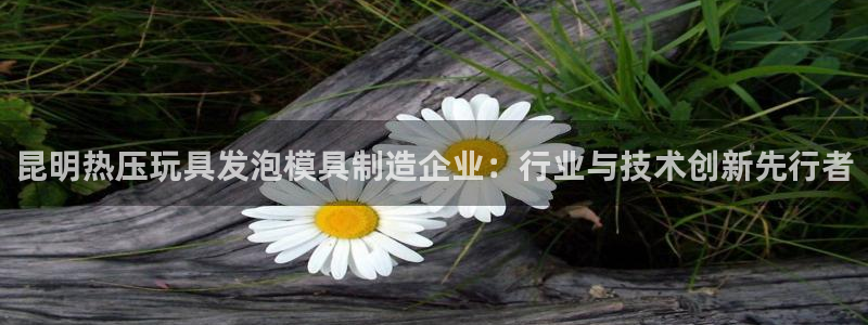 emc易倍全站官网：昆明热压玩具发泡模具制造企业：行业与