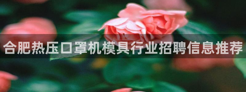 emc下载：合肥热压口罩机模具行业招聘信息推荐