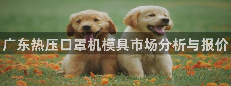 易倍网络技术有限公司官网：广东热压口罩机模具市场分析与报