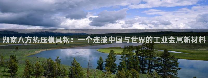 易倍网络技术有限公司怎么样：湖南八方热压模具钢：一个连接
