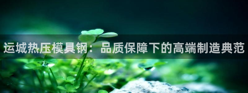 易倍纤减肥价格：运城热压模具钢：品质保障下的高端制造典范