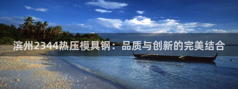 emc倍频干扰怎么解决：滨州2344热压模具钢：品质与创