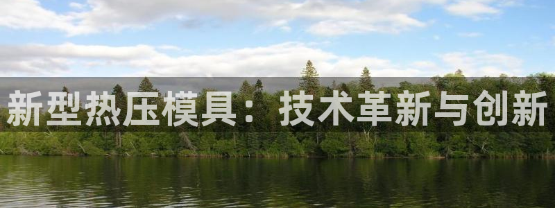易倍申不良反应：新型热压模具：技术革新与创新