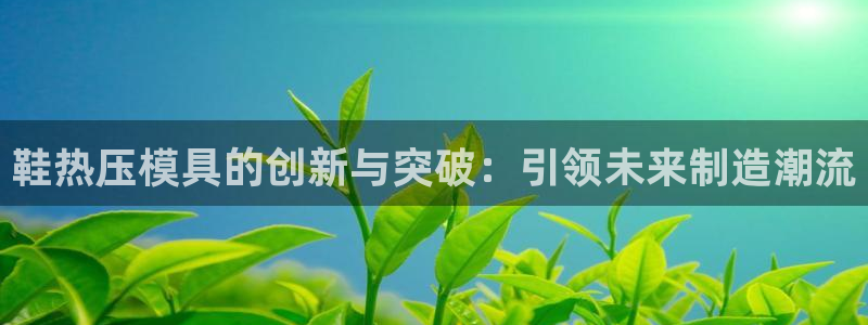 emc全站ag：鞋热压模具的创新与突破：引领未来制造潮流