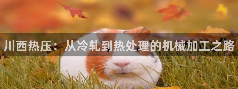 EMC易倍让身份验证：川西热压：从冷轧到热处理的机械加工