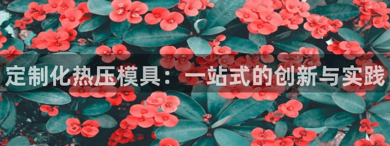 emc全站易倍：定制化热压模具：一站式的创新与实践