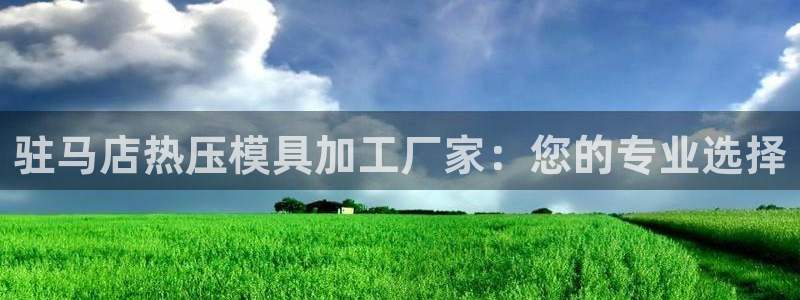 易倍思怎么样：驻马店热压模具加工厂家：您的专业选择