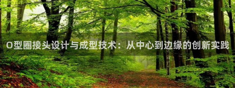 易倍emc网址网页版本登陆：O型圈接头设计与成型技术：从