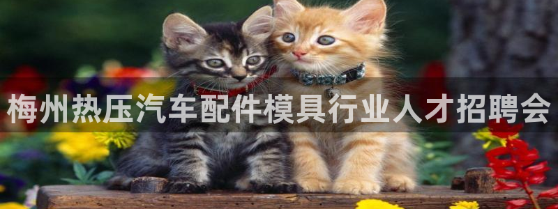 易倍申服用方法：梅州热压汽车配件模具行业人才招聘会