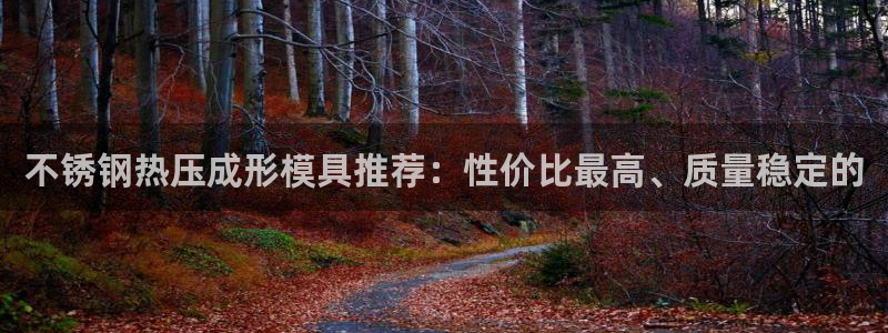 易倍申效果怎么样：不锈钢热压成形模具推荐：性价比最高、质