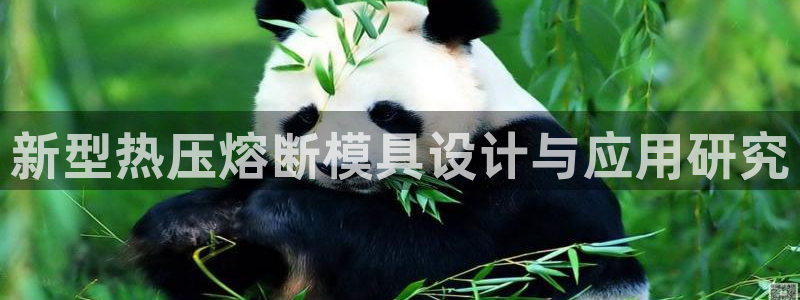 易倍网络技术有限公司是干嘛的