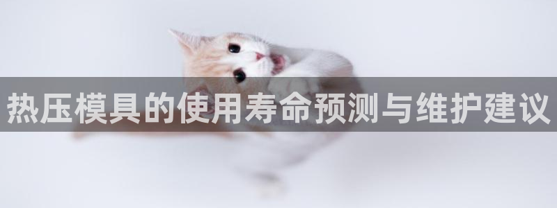 emc平台：热压模具的使用寿命预测与维护建议