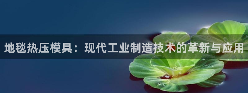 emc平台：地毯热压模具：现代工业制造技术的革新与应用