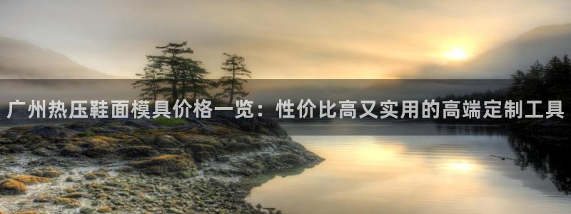 易倍纤减肥价格：广州热压鞋面模具价格一览：性价比高又实用