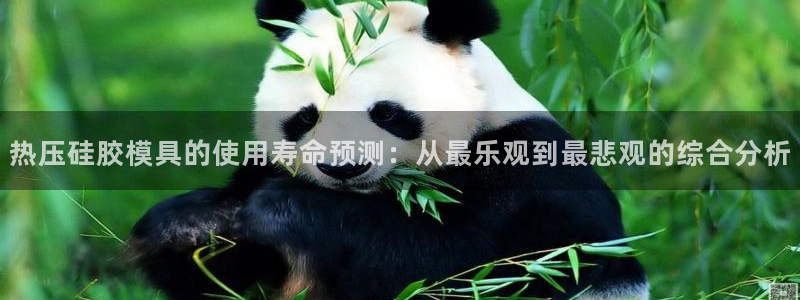 易倍申医保报销：热压硅胶模具的使用寿命预测：从最乐观到最