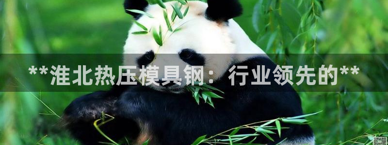 emc易倍的服务优势：**淮北热压模具钢：行业领先的**