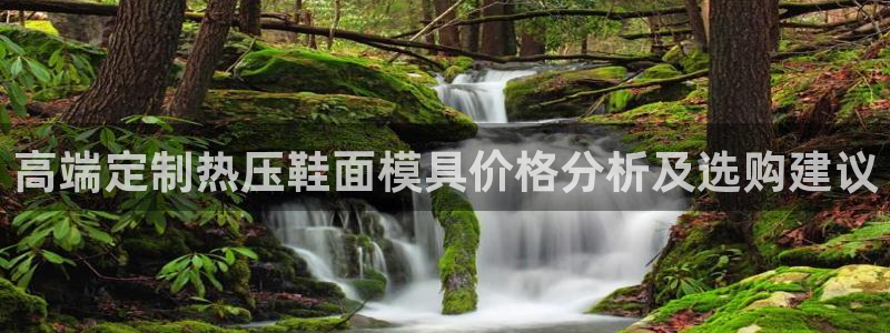 易倍达科技有限公司怎么样：高端定制热压鞋面模具价格分析及