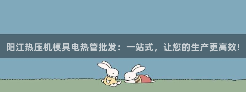 emc易倍老板：阳江热压机模具电热管批发：一站式，让您的