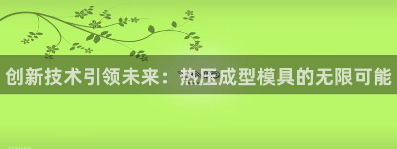 易倍纤官网：创新技术引领未来：热压成型模具的无限可能