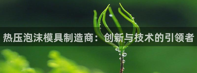 易倍思机电制造(上海)有限公司：热压泡沫模具制造商：创新