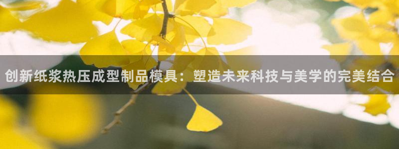 EMC倍频是什么意思：创新纸浆热压成型制品模具：塑造未来