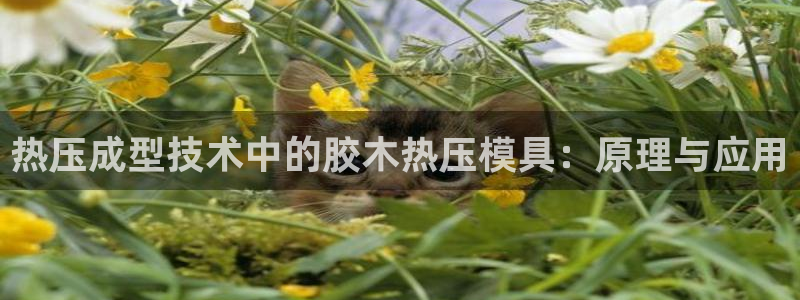 emc32软件使用说明：热压成型技术中的胶木热压模具：原