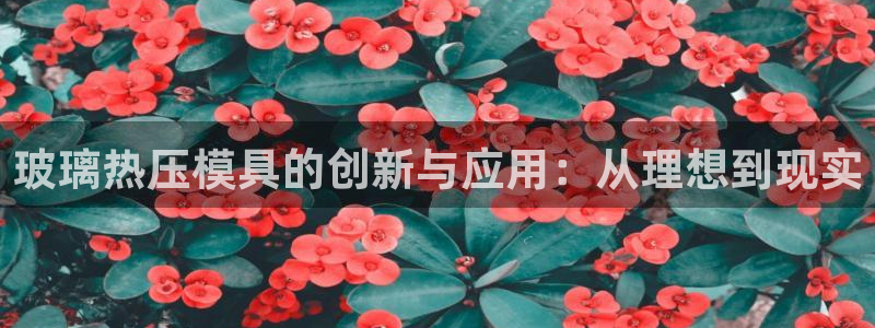 易倍网络技术有限公司是干嘛的：玻璃热压模具的创新与应用：