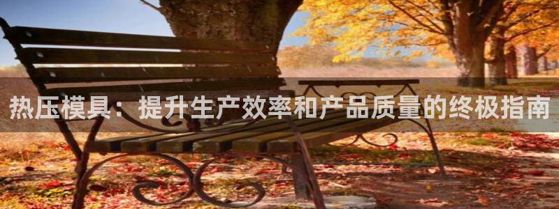 易倍纤多少钱：热压模具：提升生产效率和产品质量的终极指南