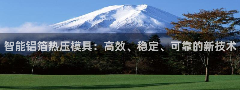 易倍思机电制造(上海)有限公司：智能铝箔热压模具：高效、