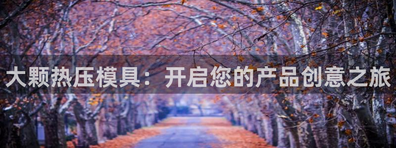 emc易倍官方:大颗热压模具:开启您的产品创意之旅