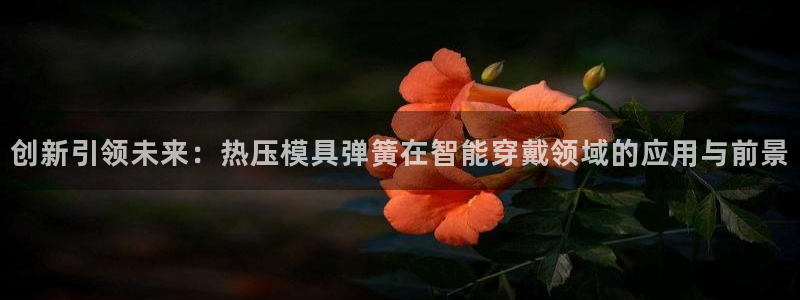 emc易倍登录:创新引领未来:热压模具弹簧在智能穿戴领域