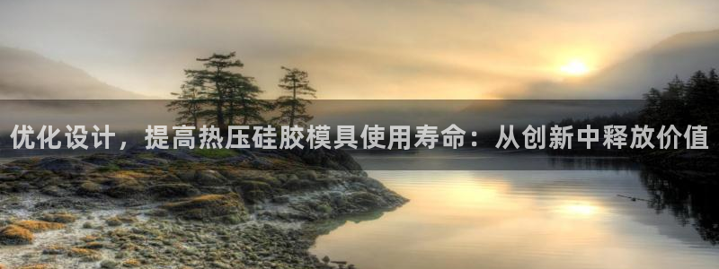 易倍纤奶昔减肥效果怎么样：优化设计，提高热压硅胶模具使用