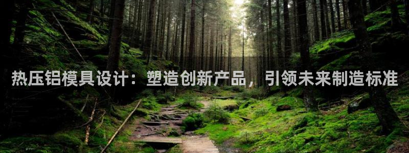 易倍纤官网:热压铝模具设计:塑造创新产品,引领未来制造标