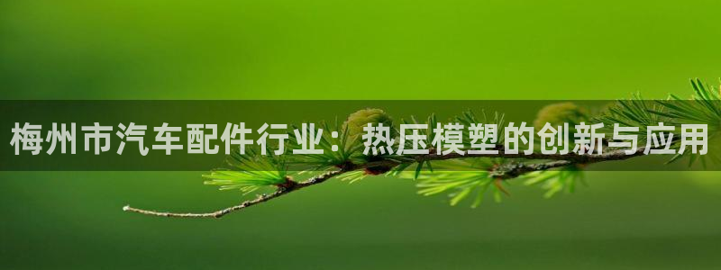 emcbet全站：梅州市汽车配件行业：热压模塑的创新与应