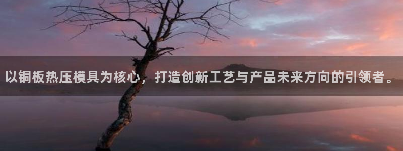 易倍申多少钱一盒：以铜板热压模具为核心，打造创新工艺与产