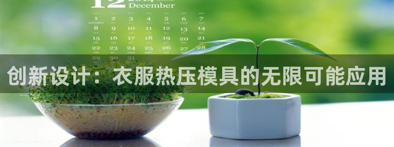 易倍达科技有限公司怎么样:创新设计:衣服热压模具的无限可