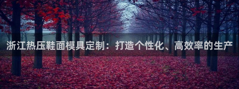 易倍申服用方法：浙江热压鞋面模具定制：打造个性化、高效率