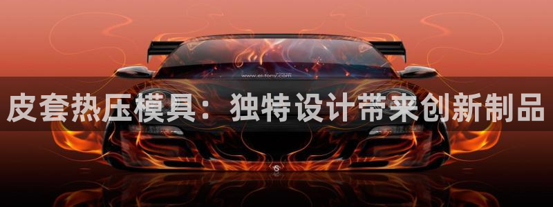 emc易倍登录：皮套热压模具：独特设计带来创新制品