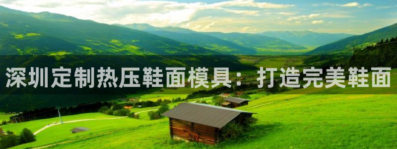 emc全站app下载：深圳定制热压鞋面模具：打造完美鞋面