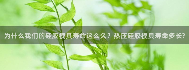 易倍app官网下载安装：为什么我们的硅胶模具寿命这么久？