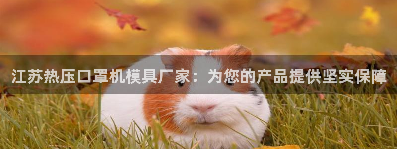 易倍达怎么样：江苏热压口罩机模具厂家：为您的产品提供坚实