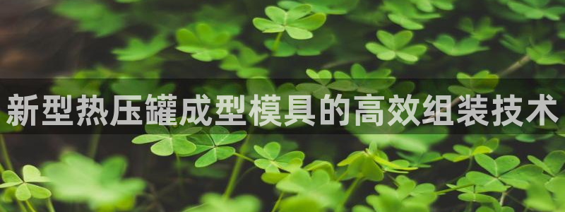 emc易倍ios官网：新型热压罐成型模具的高效组装技术