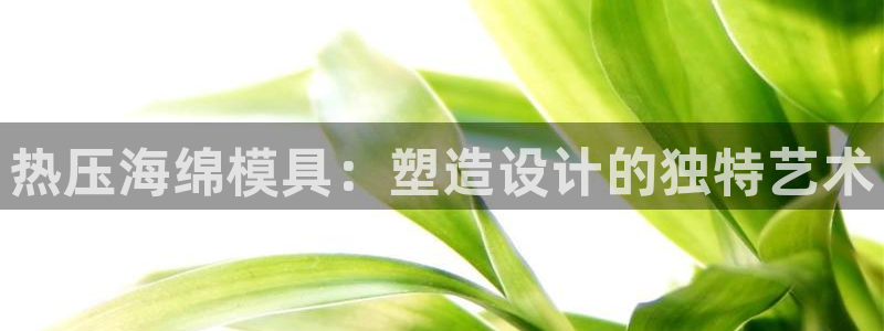 emc易倍官网首页：热压海绵模具：塑造设计的独特艺术
