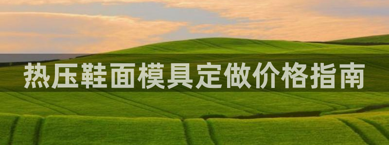 emc易倍老板：热压鞋面模具定做价格指南