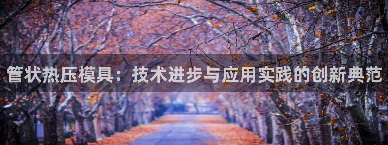 易倍申片能长期服用吗：管状热压模具：技术进步与应用实践的