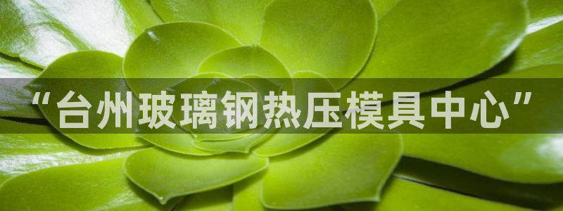 emc易倍是黑台子吗