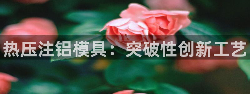 易倍申有用吗：热压注铝模具：突破性创新工艺